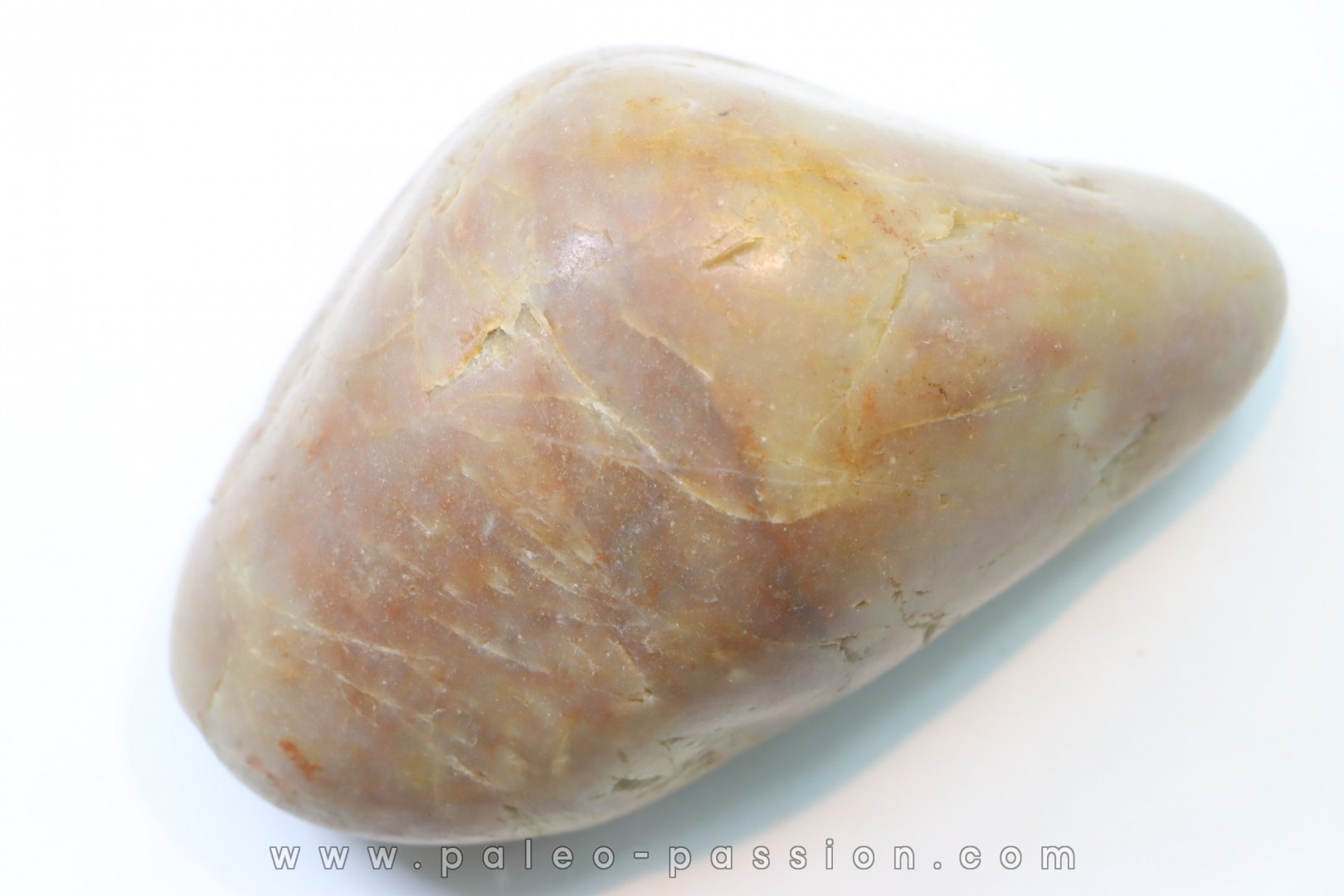 Gastrolith of Dinosaur - Lower Cretaceous - Cloverly formation - Montana -USA