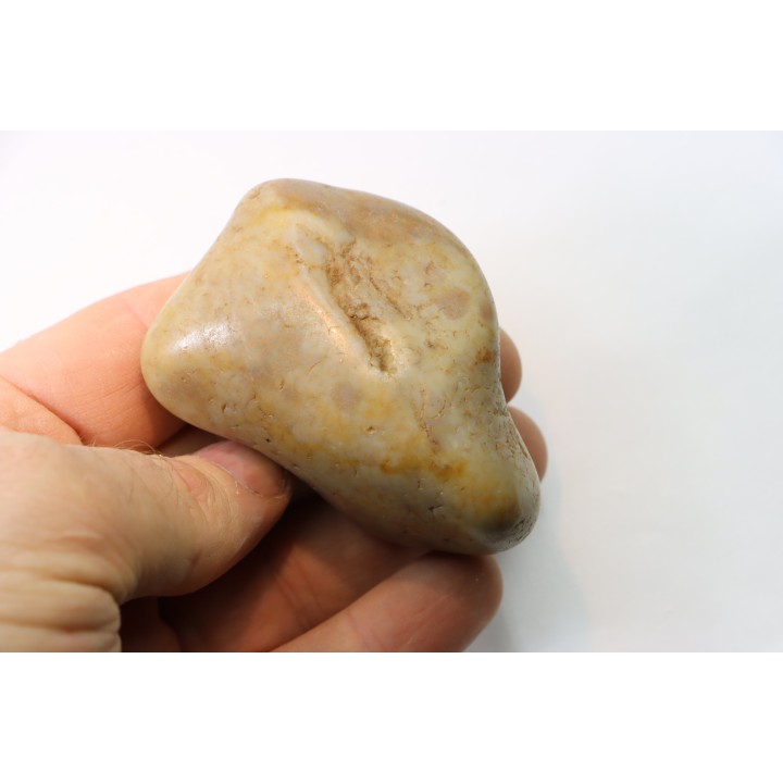 Gastrolith of  Dinosaur - Lower Cretaceous - Cloverly formation - Montana -USA