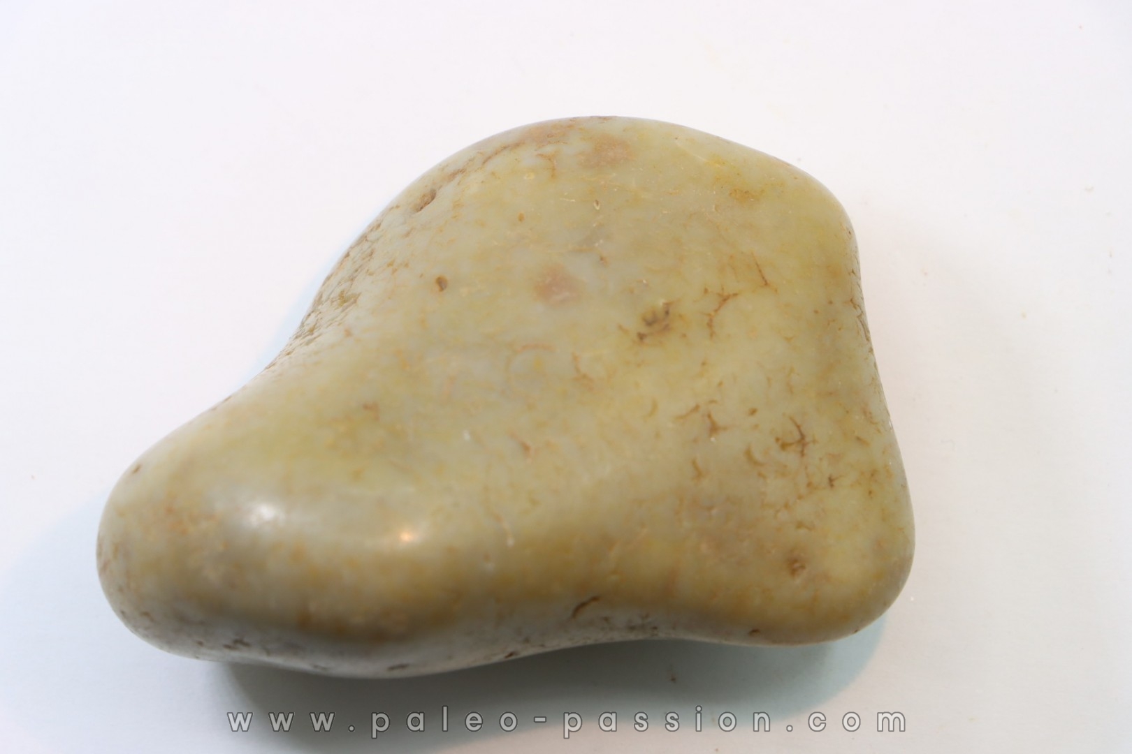 Gastrolith of Dinosaur - Lower Cretaceous - Cloverly formation - Montana -USA