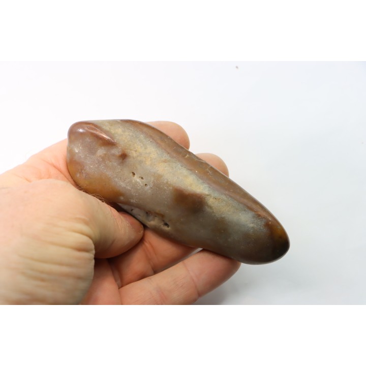 Gastrolith of  Dinosaur - Lower Cretaceous - Cloverly formation - Montana -USA