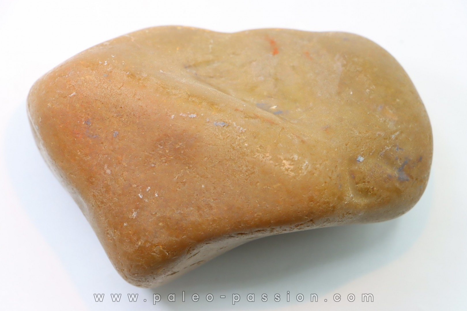 Gastrolith of Dinosaur - Lower Cretaceous - Cloverly formation - Montana -USA