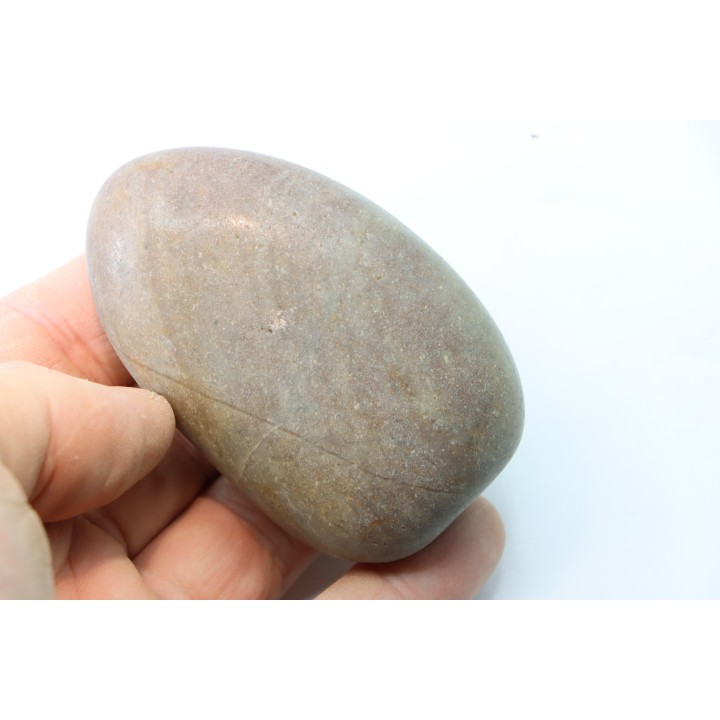 Gastrolith of  Dinosaur - Lower Cretaceous - Cloverly formation - Montana -USA