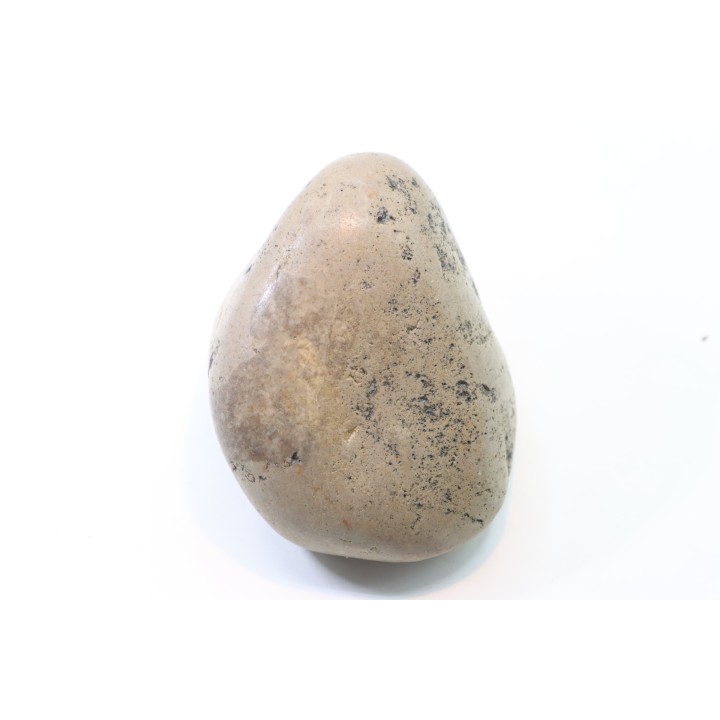Gastrolith of  Dinosaur - Lower Cretaceous - Cloverly formation - Montana -USA