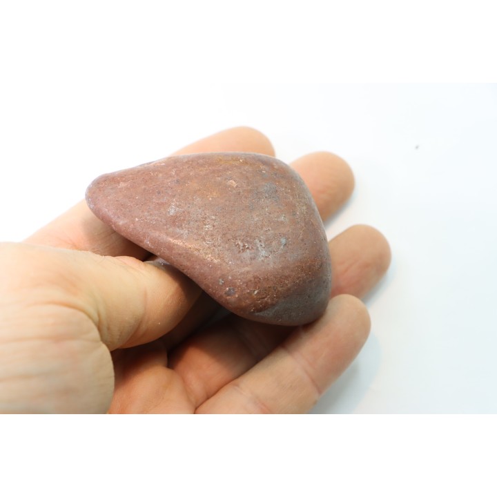 Gastrolith of  Dinosaur - Lower Cretaceous - Cloverly formation - Montana -USA