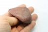 Gastrolith of Dinosaur - Lower Cretaceous - Cloverly formation - Montana -USA