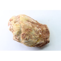 coprolithe - crétacé - kem-kem - MAROC