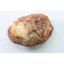 coprolith - cretaceous - kem-kem - MOROCCO