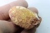 coprolith - cretaceous - kem-kem - MOROCCO