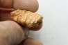 coprolithe - crétacé - kem-kem - MAROC