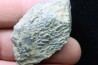 accumulation of  trilobit's COPROLITHES : TOMACULUM PROBLEMATICUM - Ordovician - Maine et Loire, FRANCE