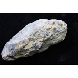 accumulation de COPROLITHES de trilobites: TOMACULUM PROBLEMATICUM - Ordovicien - Maine et Loire, FRANCE, FRANCE