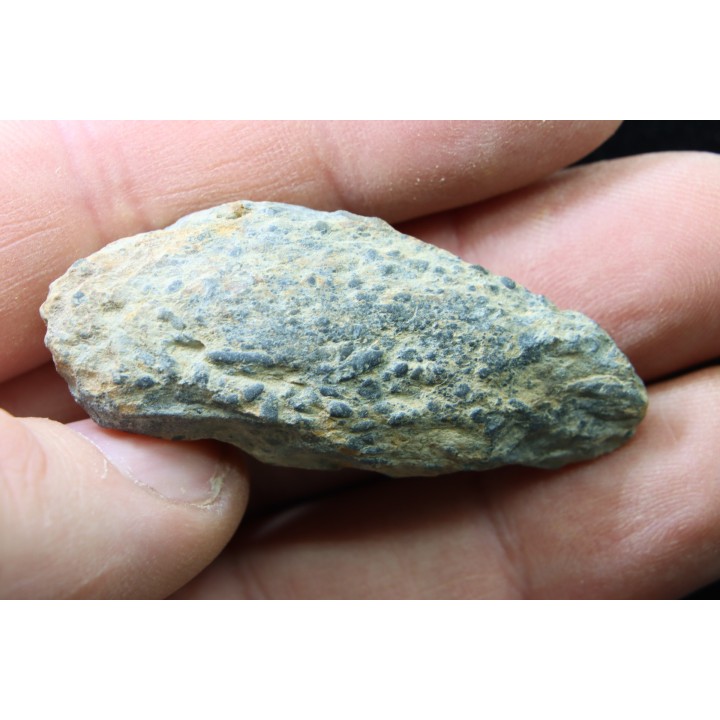 accumulation of  trilobite's COPROLITHES : TOMACULUM PROBLEMATICUM - Ordovician - Maine et Loire, FRANCE, FRANCE