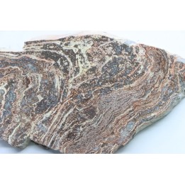 STROMATOLITE - Paléozoïc - Mexico