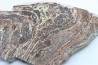 STROMATOLITE - Paléozoïc - Mexico