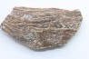 STROMATOLITE - Paléozoïc - Mexico