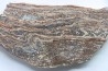 STROMATOLITE - Paléozoïc - Mexico