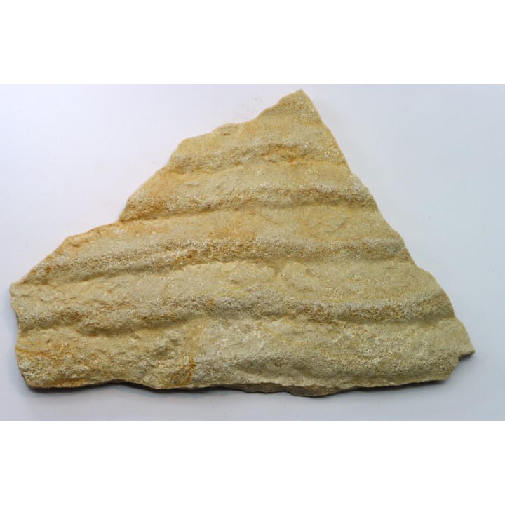 Matière Microbienne - cambrien - (Possible précambrien?) - Mt Simon Sandstone - Central Wisconsin - USA
