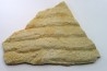 Microbial mat. - cambrian - (Possible précambrian?) - Mt Simon Sandstone - Central Wisconsin - USA