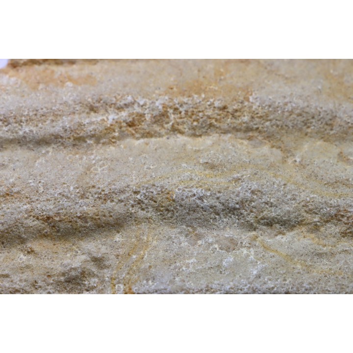 Matière Microbienne - cambrien - (Possible précambrien?) - Mt Simon Sandstone - Central Wisconsin - USA