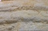 Microbial mat. - cambrian - (Possible précambrian?) - Mt Simon Sandstone - Central Wisconsin - USA