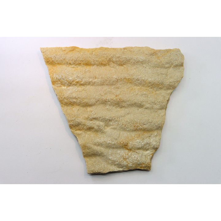Matière Microbienne - cambrien - (Possible précambrien?) - Mt Simon Sandstone - Central Wisconsin - USA