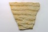 Microbial mat. - cambrian - (Possible précambrian?) - Mt Simon Sandstone - Central Wisconsin - USA
