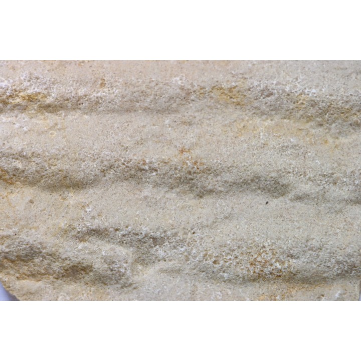 Matière Microbienne - cambrien - (Possible précambrien?) - Mt Simon Sandstone - Central Wisconsin - USA