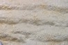 Matière Microbienne - cambrien - (Possible précambrien?) - Mt Simon Sandstone - Central Wisconsin - USA