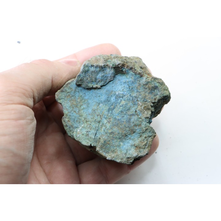 fossil wood with azurite malachite inclued
