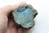 fossil wood with azurite malachite inclued