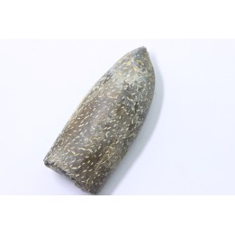 bélemnite: Duvalia lata (crustaceans acrothoracic traces) upper Valanginian - Alpes de hte Prov. - France
