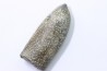 bélemnite: Duvalia lata (crustaceans acrothoracic traces) upper Valanginian - Alpes de hte Prov. - France