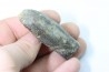 bélemnite: Duvalia lata (crustaceans acrothoracic traces) upper Valanginian - Alpes de hte Prov. - France