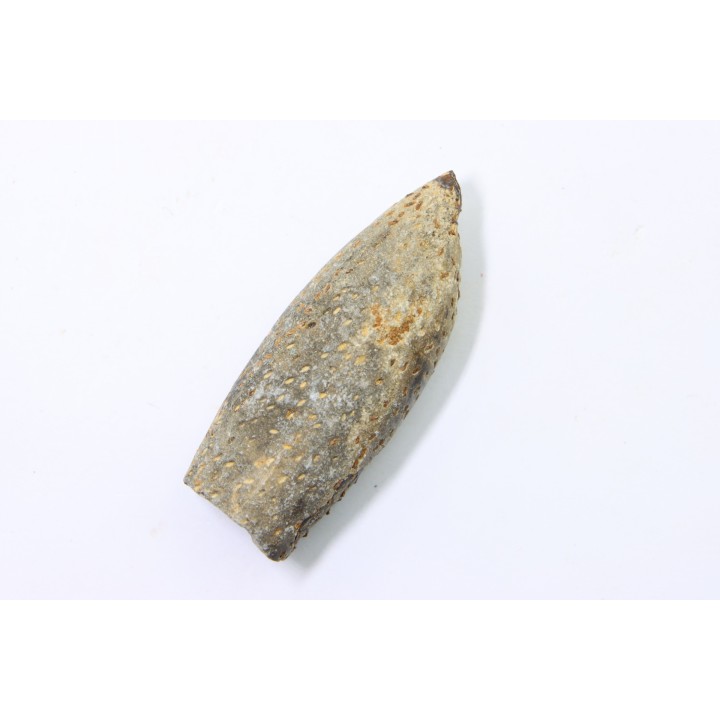 bélemnite: Duvalia lata (Blainville,1827) (crustaceans acrothoracic traces) upper Valanginian - Alpes de hte Prov. - France
