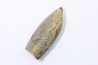 bélemnite: Duvalia lata (traces de crustacés acrothoraciques) Valanginien sup. - Alpes de hte prov. - France
