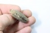 bélemnite: Duvalia lata (Blainville,1827) (crustaceans acrothoracic traces) upper Valanginian - Alpes de hte Prov. - France