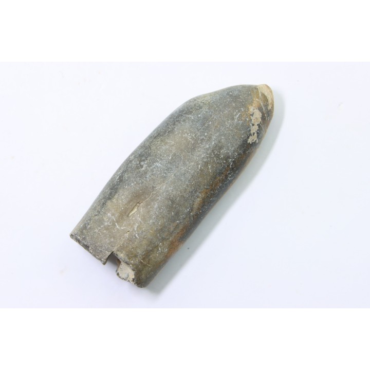 bélemnite: Duvalia lata  - upper Valanginian - Alpes de hte Prov. - France