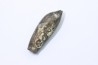 bélemnite: Duvalia lata constricta - upper Valanginian - Alpes de hte Prov. - France