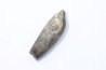 bélemnite: Duvalia lata constricta- Valanginien sup. - Alpes de hte prov. - France