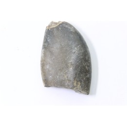 bélemnite: Duvalia émérici - Valanginien supérieur - Alpes de haute Provence - France
