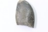 bélemnite: Duvalia émérici - Valanginien supérieur - Alpes de haute Provence - France