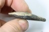 bélemnite: Duvalia émérici - upper Valanginian - Alpes de haute Provence - France