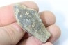 bélemnite: Duvalia émérici - upper Valanginian - Alpes de haute Provence - France