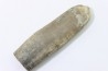 bélemnite: Duvalia dilatata - upper Valanginian - Alpes de haute Provence - France