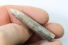 bélemnite: Duvalia dilatata - Valanginien supérieur - Alpes de haute Provence - France