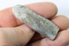 bélemnite: Duvalia dilatata - Valanginien supérieur - Alpes de haute Provence - France