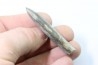 bélemnite: Duvalia dilatata - upper Valanginian - Alpes de haute Provence - France