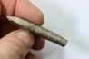 bélemnite: Duvalia dilatata - upper Valanginian - Alpes de haute Provence - France