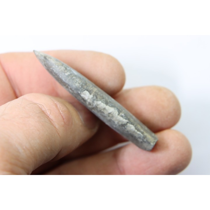 bélemnite: Duvalia dilatata - upper Valanginian - Alpes de haute Provence - France