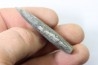 bélemnite: Duvalia dilatata - upper Valanginian - Alpes de haute Provence - France